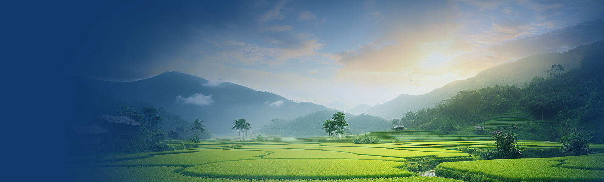 钢尺水位计,水位检测仪,水位测定仪