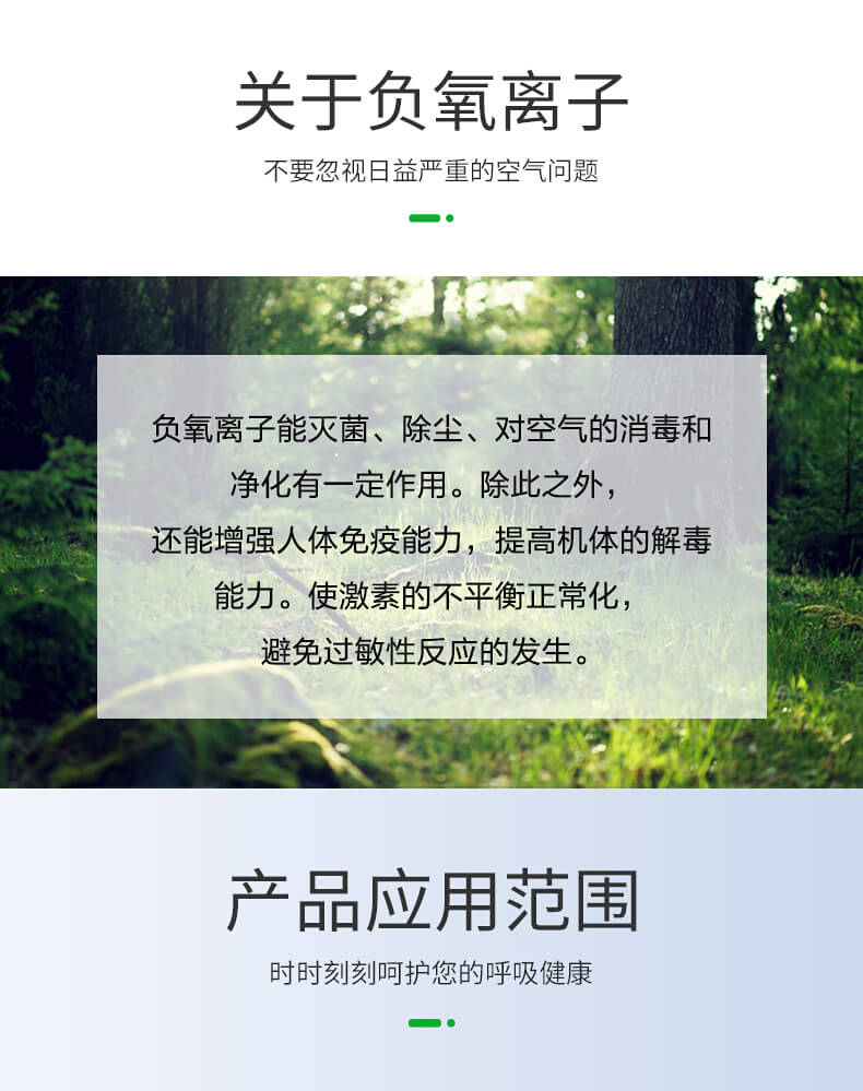 便携式负离子检测仪