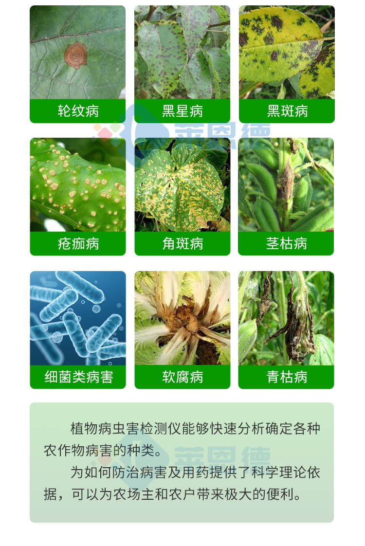 植物病虫害诊断仪