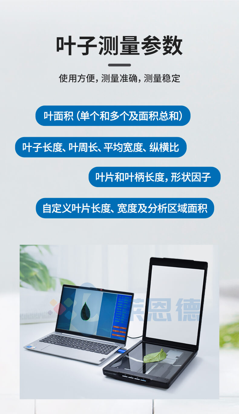 扫描式叶面积测量仪