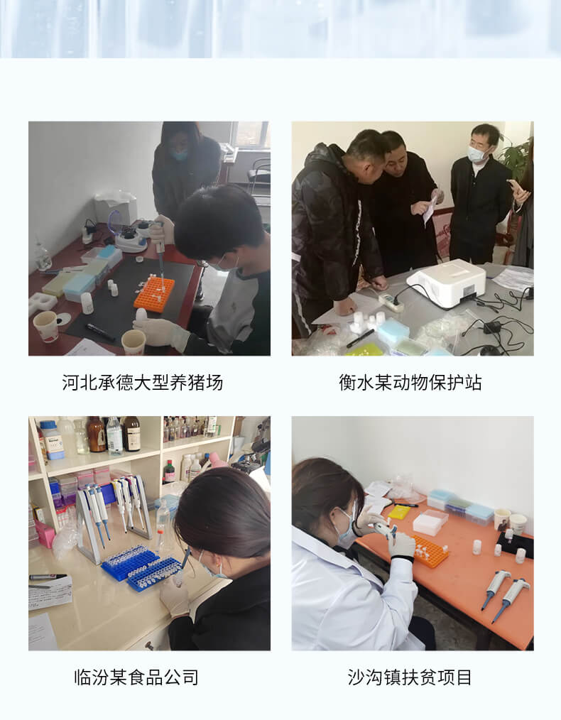 非洲猪瘟检测仪