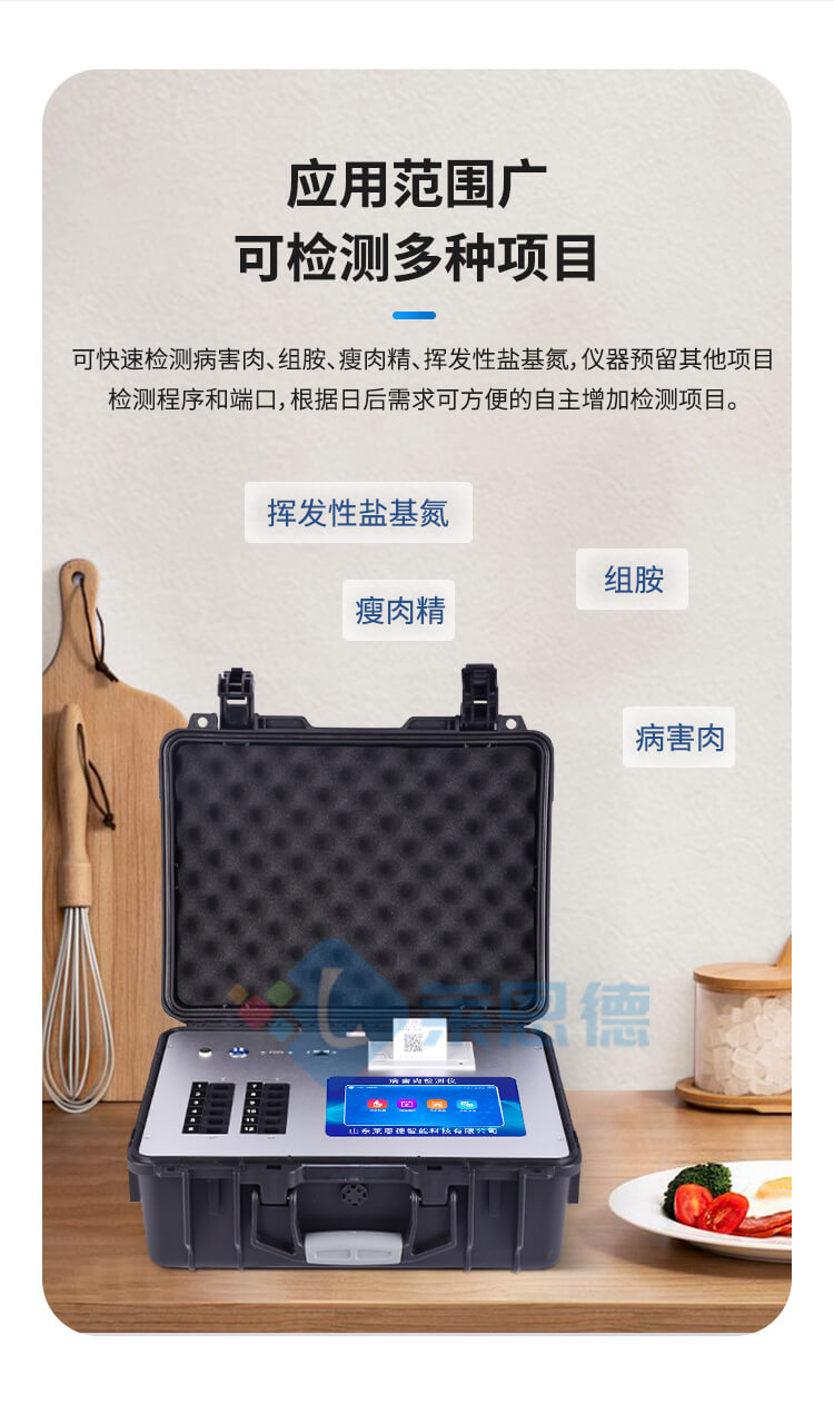 肉类新鲜度检测仪