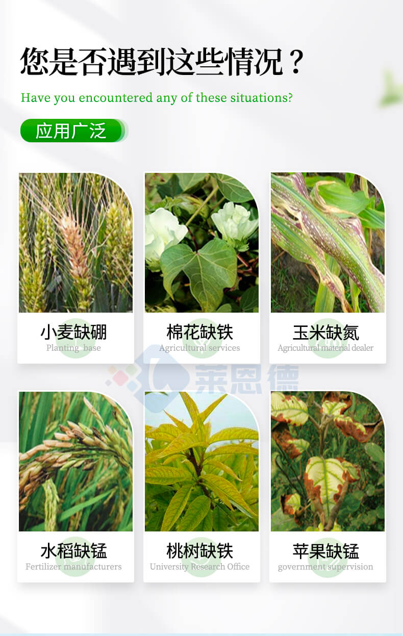 土壤养分含量测定仪