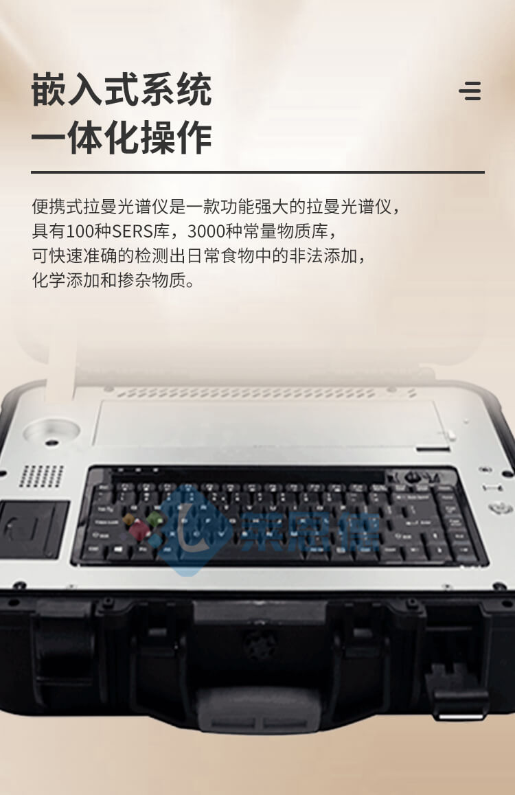 拉曼光谱仪